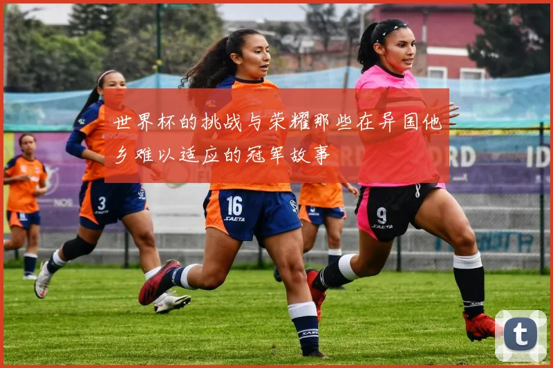 世界杯的挑战与荣耀那些在异国他乡难以适应的冠军故事