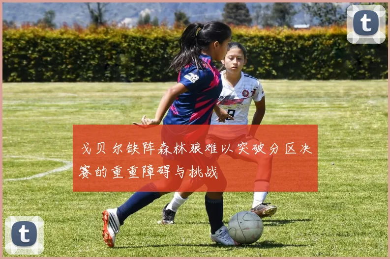 戈贝尔缺阵森林狼难以突破分区决赛的重重障碍与挑战