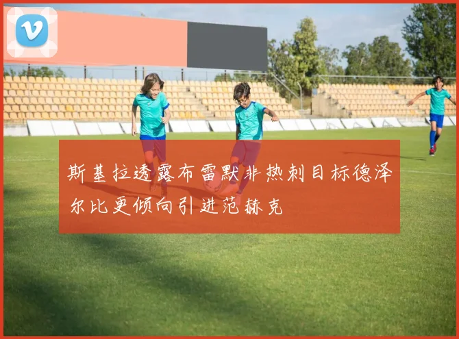 斯基拉透露布雷默非热刺目标德泽尔比更倾向引进范赫克